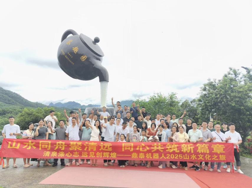 广东鼎泰机器人科技有限公司图5