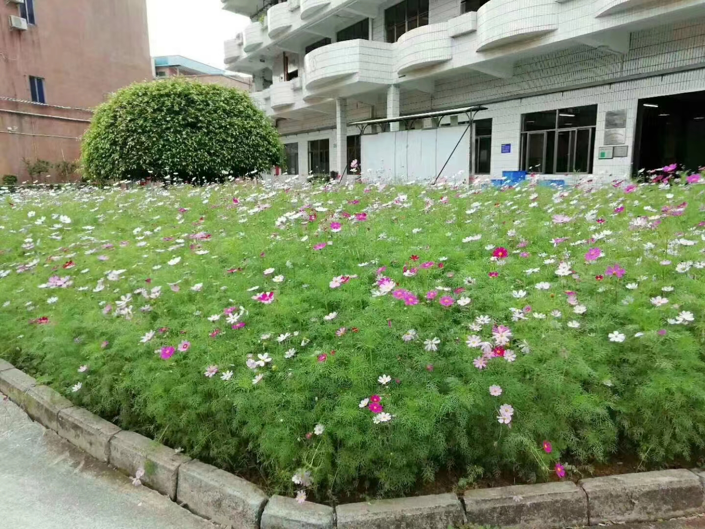 东莞光顺电子有限公司图2