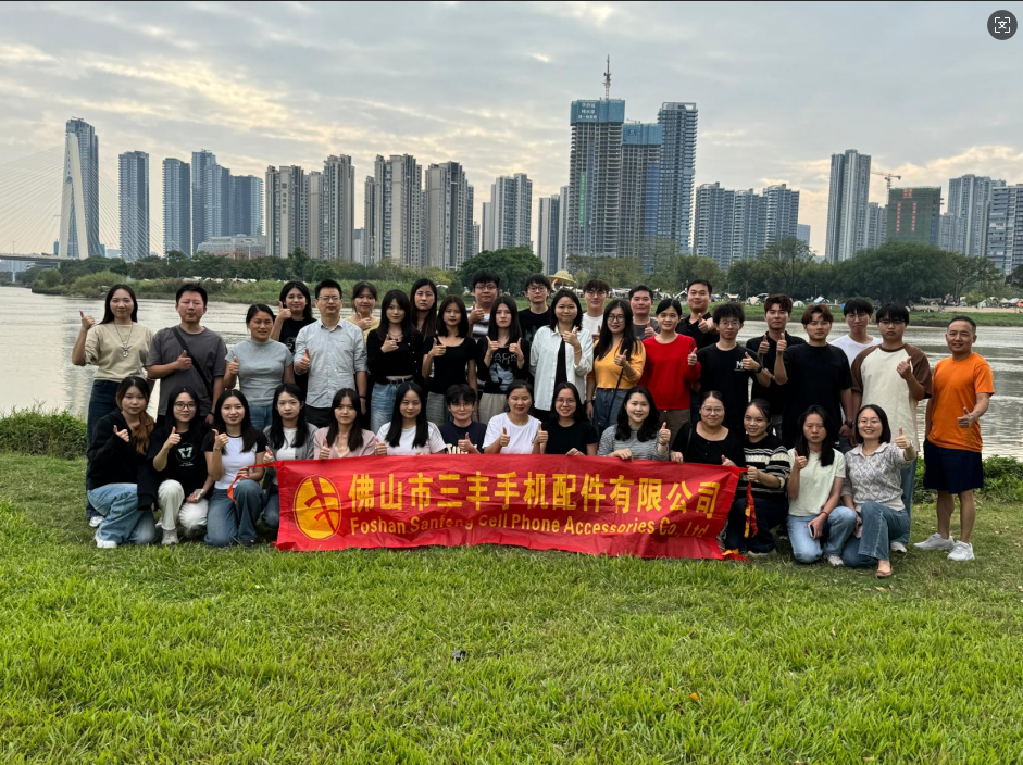 佛山市南海区三丰手机配件有限公司图7