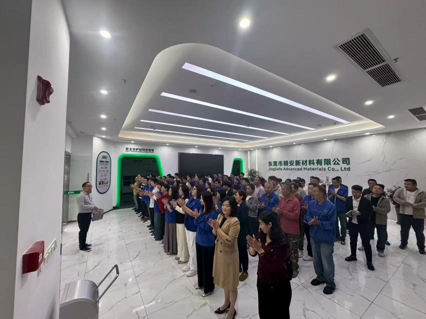东莞市精安新材料有限公司图3