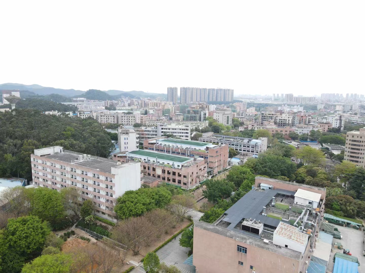 东莞光顺电子有限公司图1