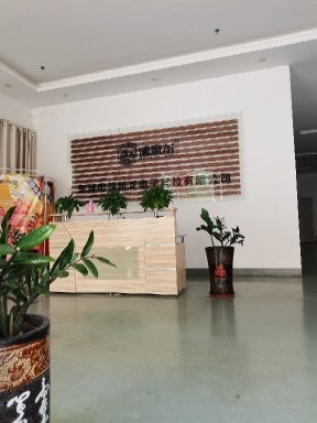 东莞市德新龙电子科技有限公司图1