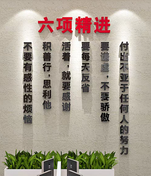 广东桦丰镁精密制造有限公司图8