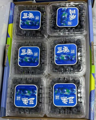 东莞市瑞凯技术有限公司图7