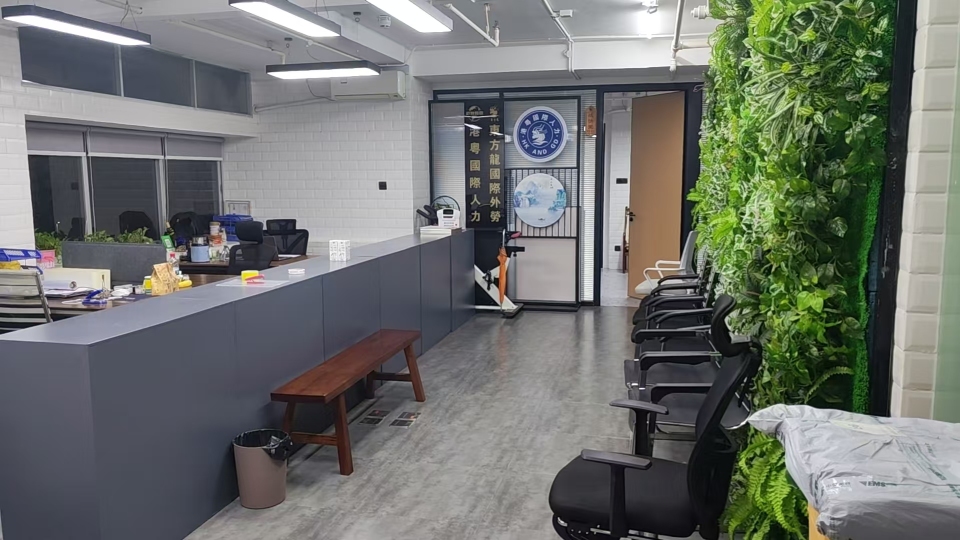 东方龙（深圳）国际劳务派遣有限公司图2