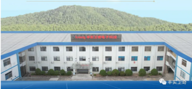 广东丰实卫奇电子科技有限公司图1