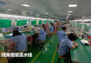 东莞市宝瑞电子有限公司图7