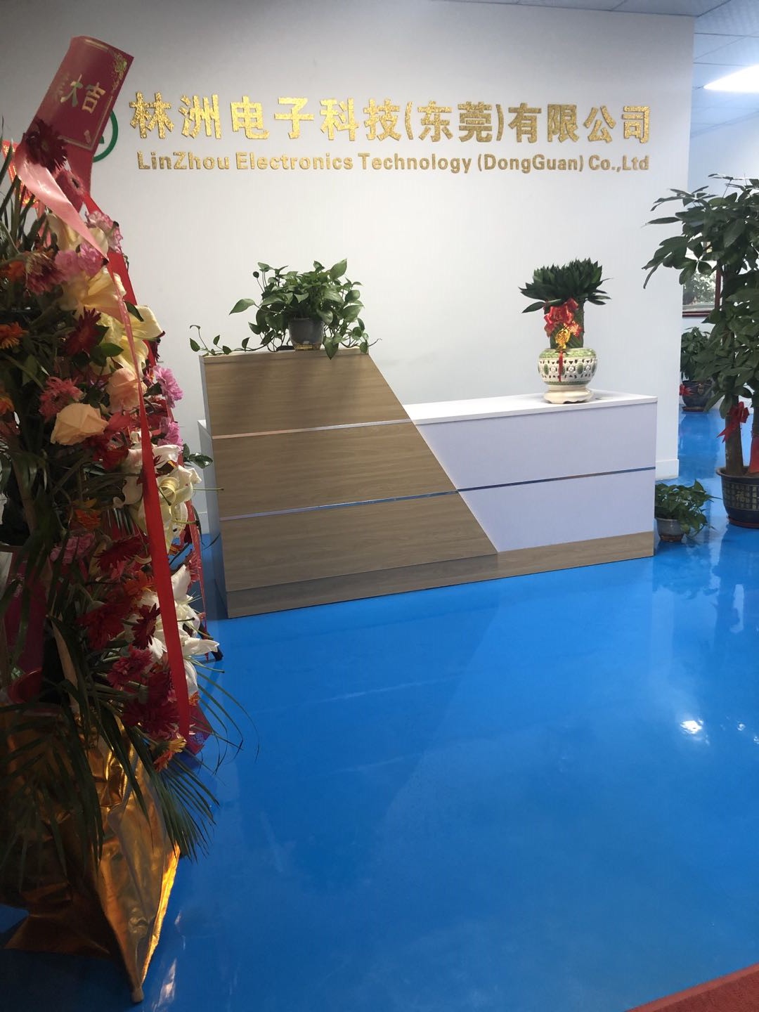 东莞市林洲电子科技有限公司图2