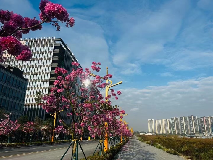 广东圳新自动化设备有限公司图14