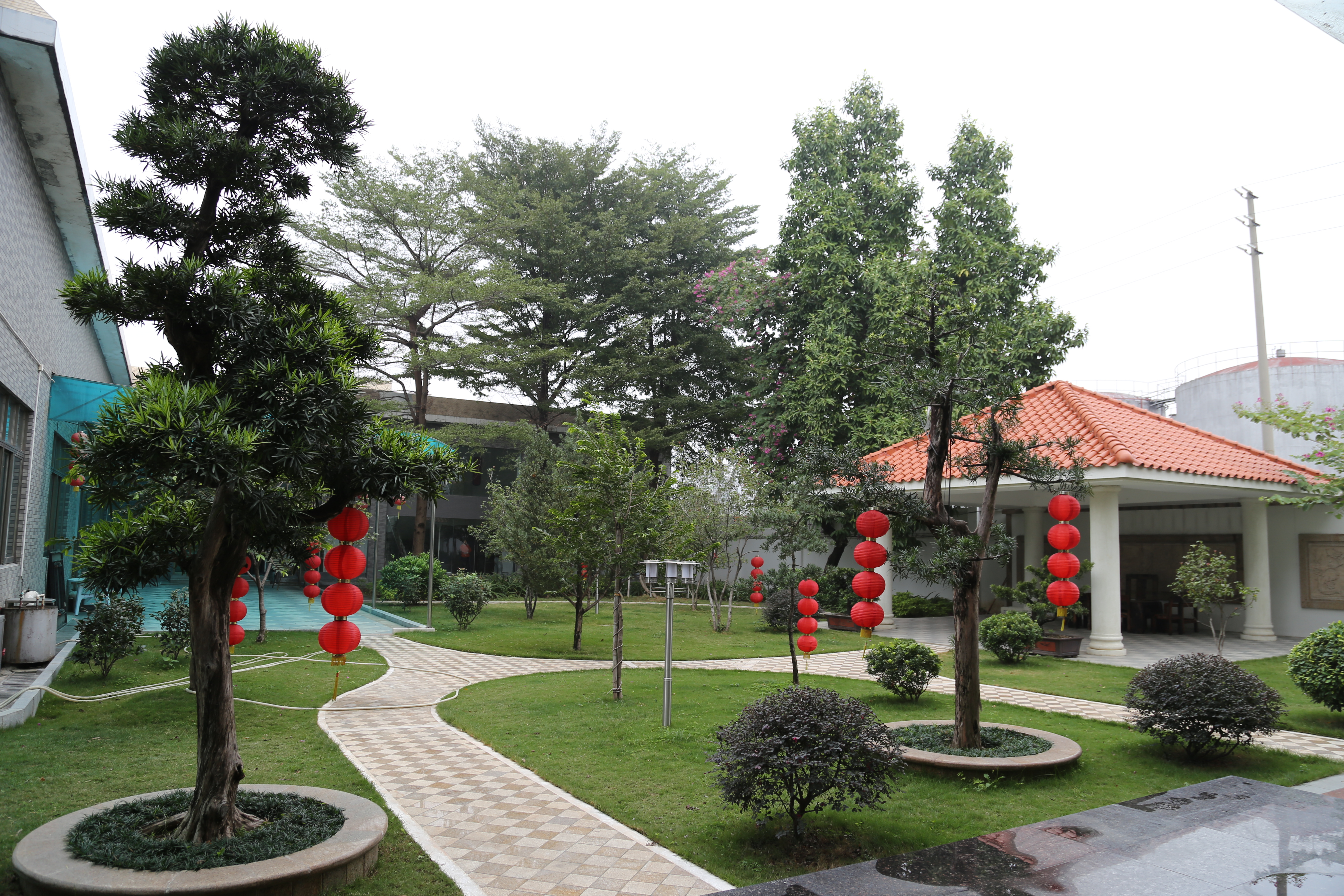 广东丰盟汇实业发展股份有限公司图3
