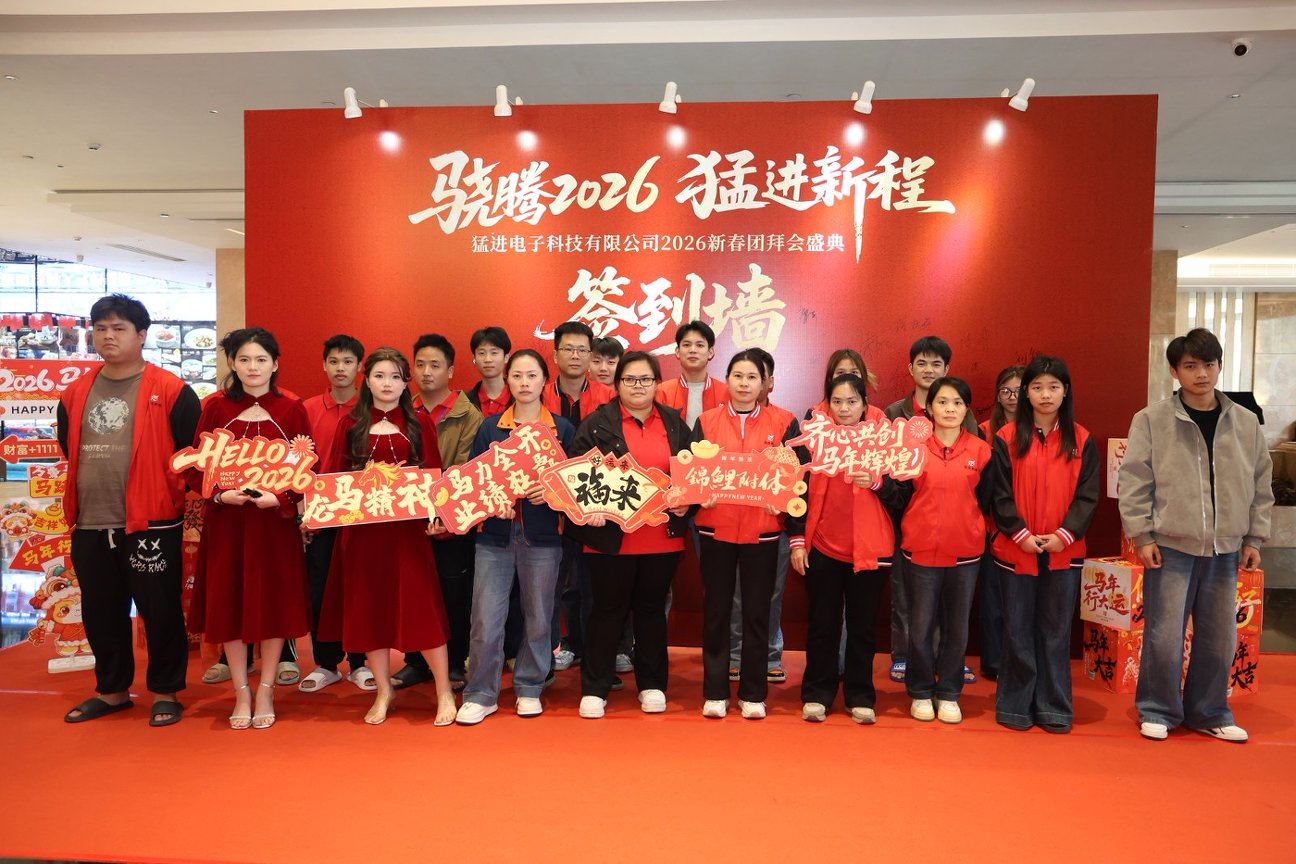 东莞市猛进科技有限公司图6