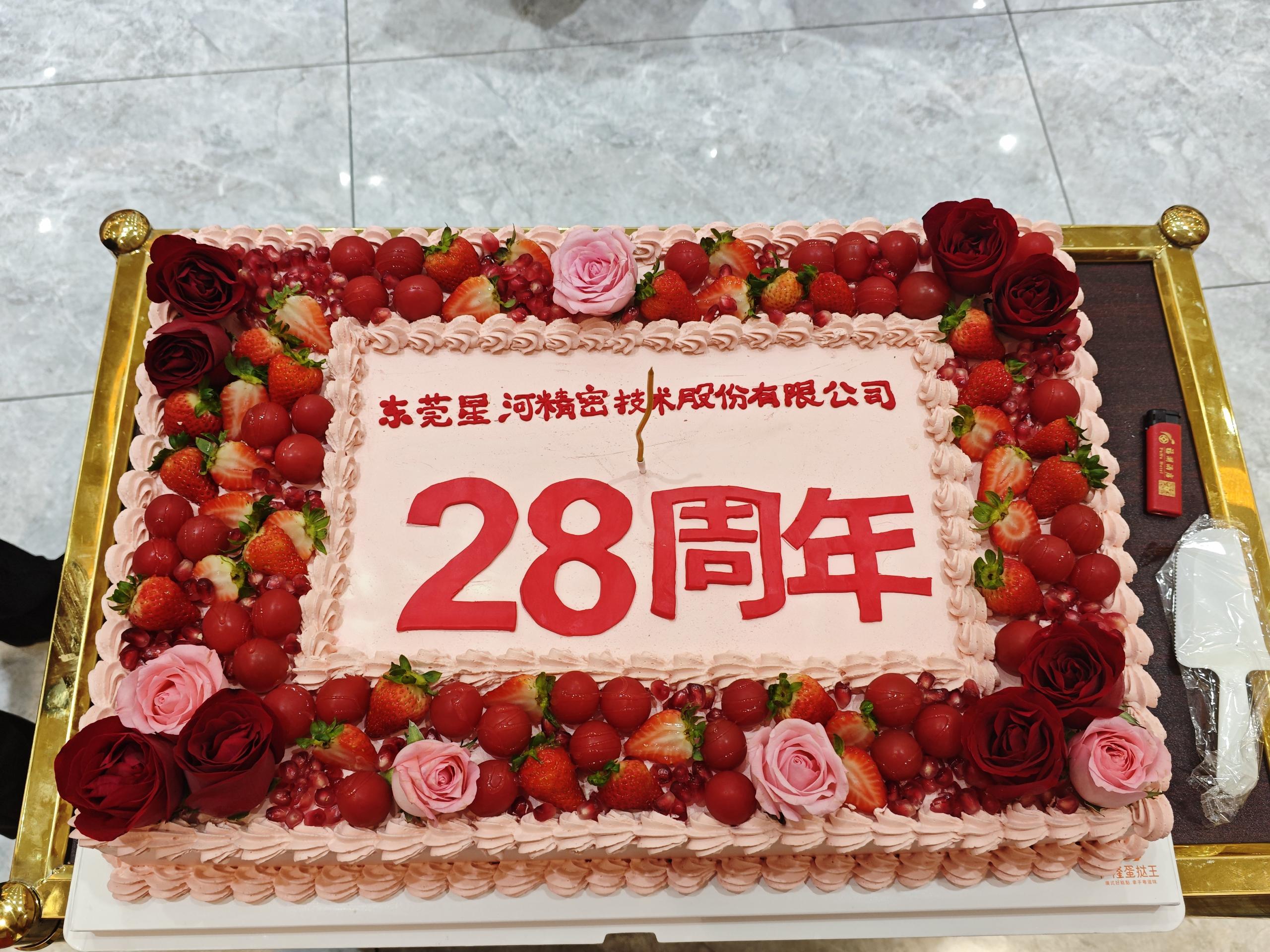 东莞星河精密技术股份有限公司图9