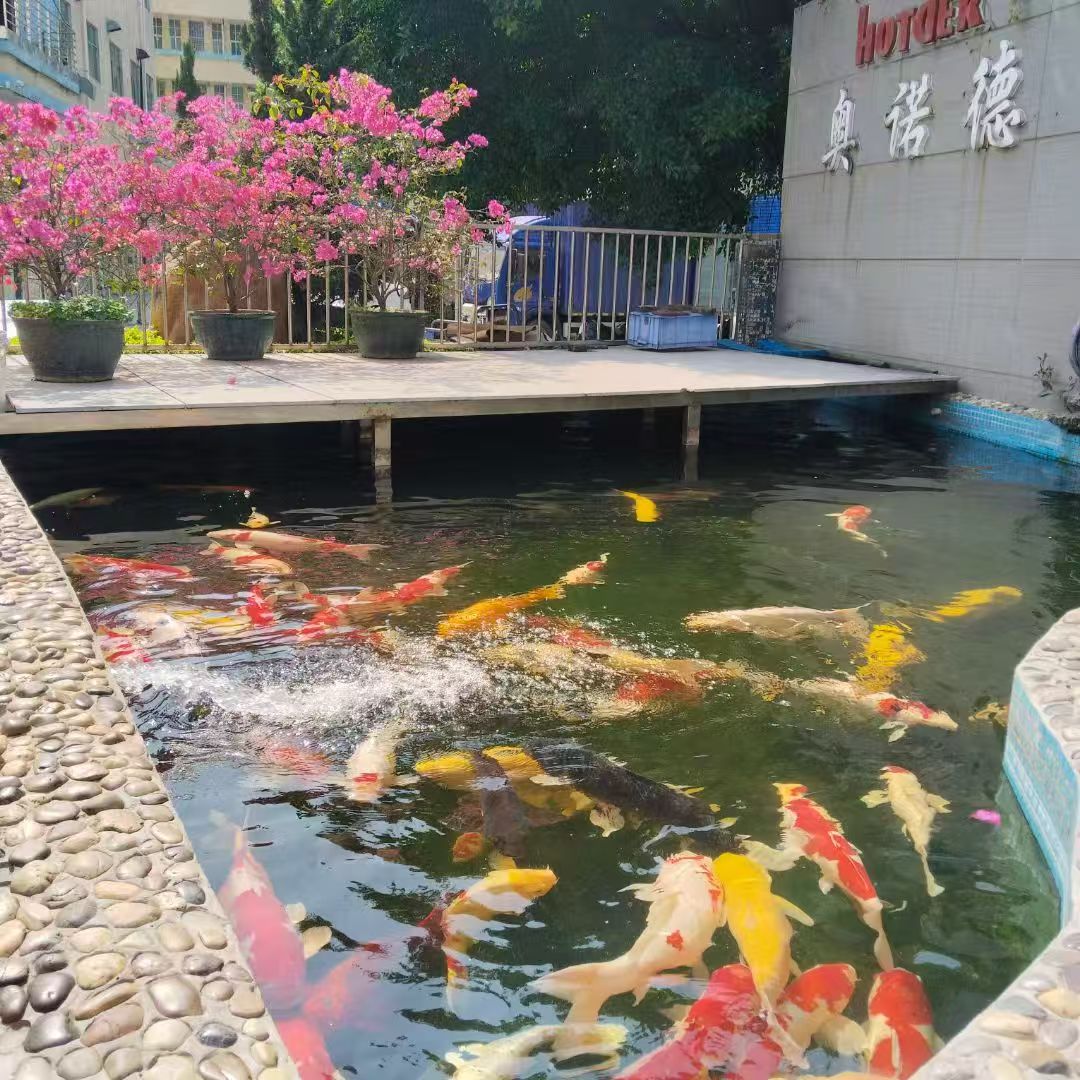 东莞市奥诺德电器科技有限公司图1