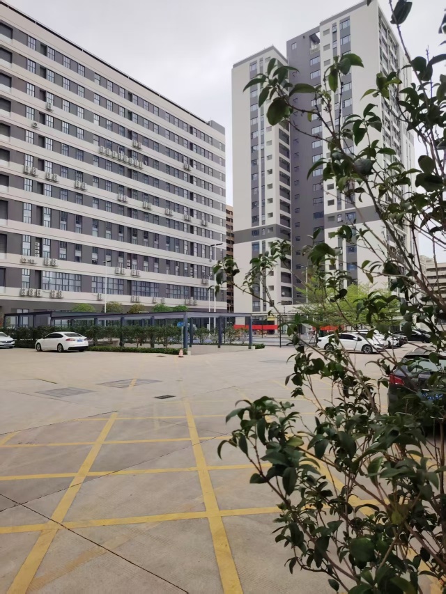 东莞市新义龙五金制品有限公司图2