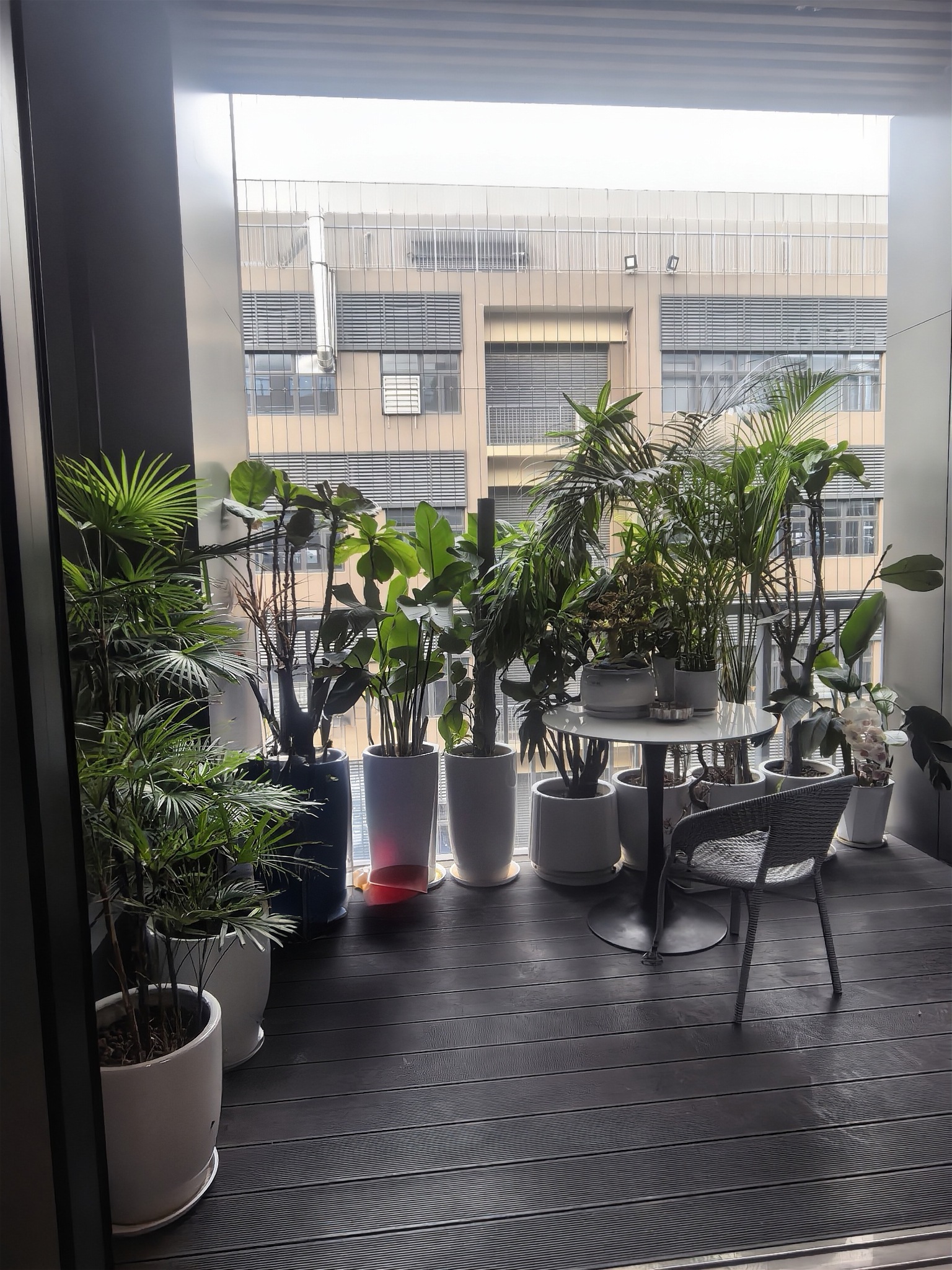 东莞市照度狮光电科技有限公司图8