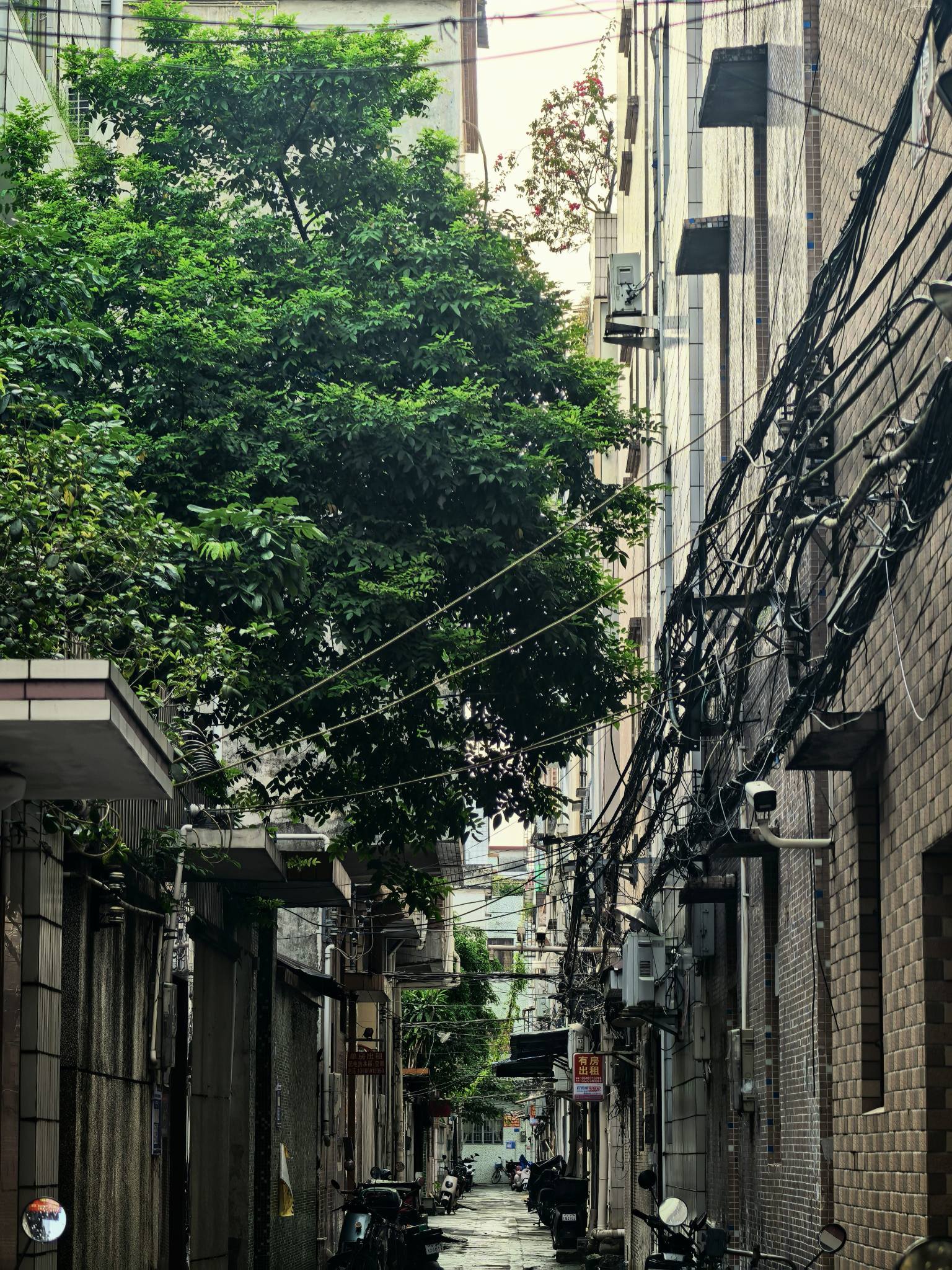 刘恩智通测试有限公司图2