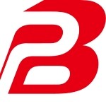宝红科技（武汉）有限公司logo