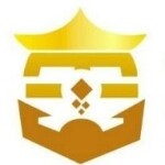 东莞市金管道网络科技有限公司logo