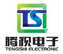 东莞腾视电子科技有限公司logo
