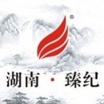 臻纪文化传播招聘logo