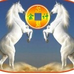 东莞市尔慧税务会计有限公司logo