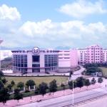 东莞镇扬玩具有限公司