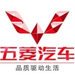 开平市保捷汽车贸易有限公司江门分公司招聘logo