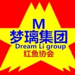 梦璃集团招聘logo