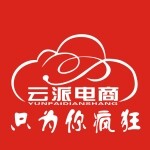 东莞市云派网络科技有限公司logo