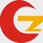 郴州广正贸易有限公司logo