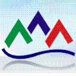 东莞市伙伴货运代理有限公司logo