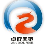 珠海卓成典范企业管理咨询有限公司logo