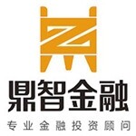 东莞市鼎智投资管理有限公司logo