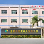 东莞市彤声电子有限公司招聘
