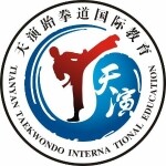 天演武道文化传播公司logo