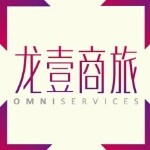龙壹新合商务有限公司logo
