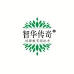 中山市智华传奇企业管理有限公司logo