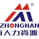 中南国际人力资源（深圳）有限公司-logo