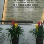 深圳市英之杰网络科技有限公司logo