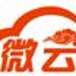 武汉微云天下信息技术有限公司logo