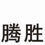 腾胜蓝天航空信息咨询有限公司招聘logo