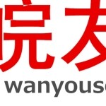 东莞市皖友软件科技有限公司logo
