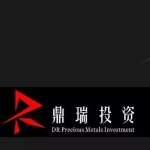 蓬江区鼎瑞投资咨询中心招聘logo