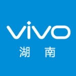 湖南特音电子有限公司招聘logo