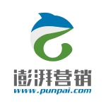 上海澎湃电子商务有限公司招聘logo