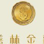 善林（上海）金融信息服务有限公司南京分公司logo