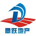 东莞市鼎跃房地产经纪有限公司logo