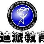 大连迪派培训学校logo
