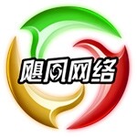 深圳飓风伟业网络有限公司logo