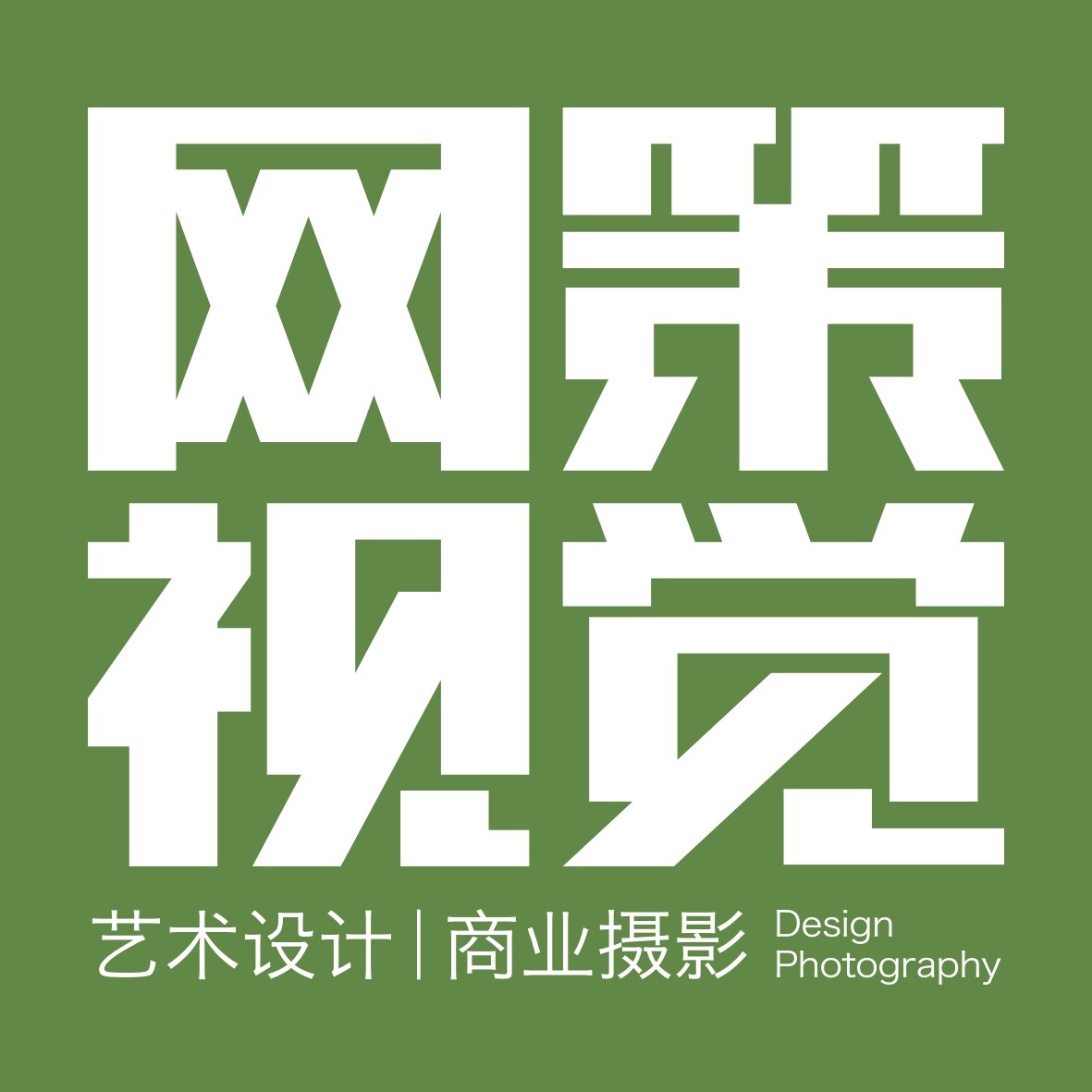宁波海曙网策电子商务有限公司logo